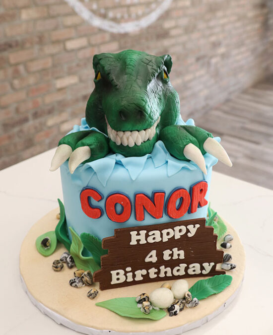 Single Tier Dinosaur Birthday Cake