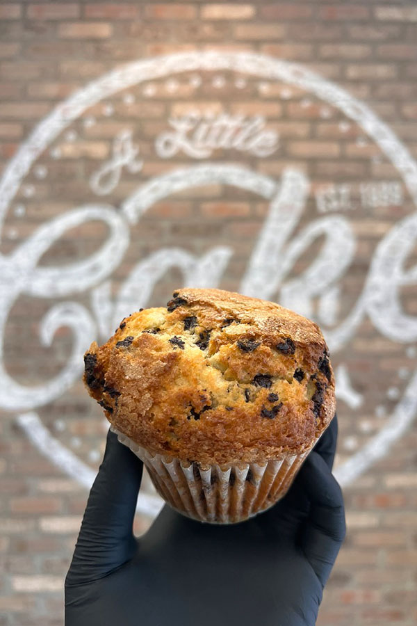 Chocolate Chip Muffin