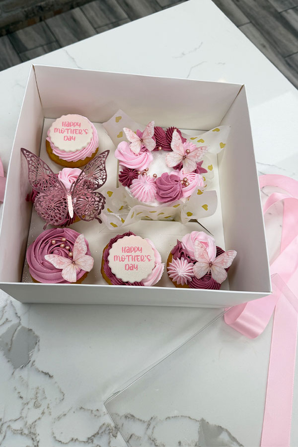 Cupcake & Bento cake Box